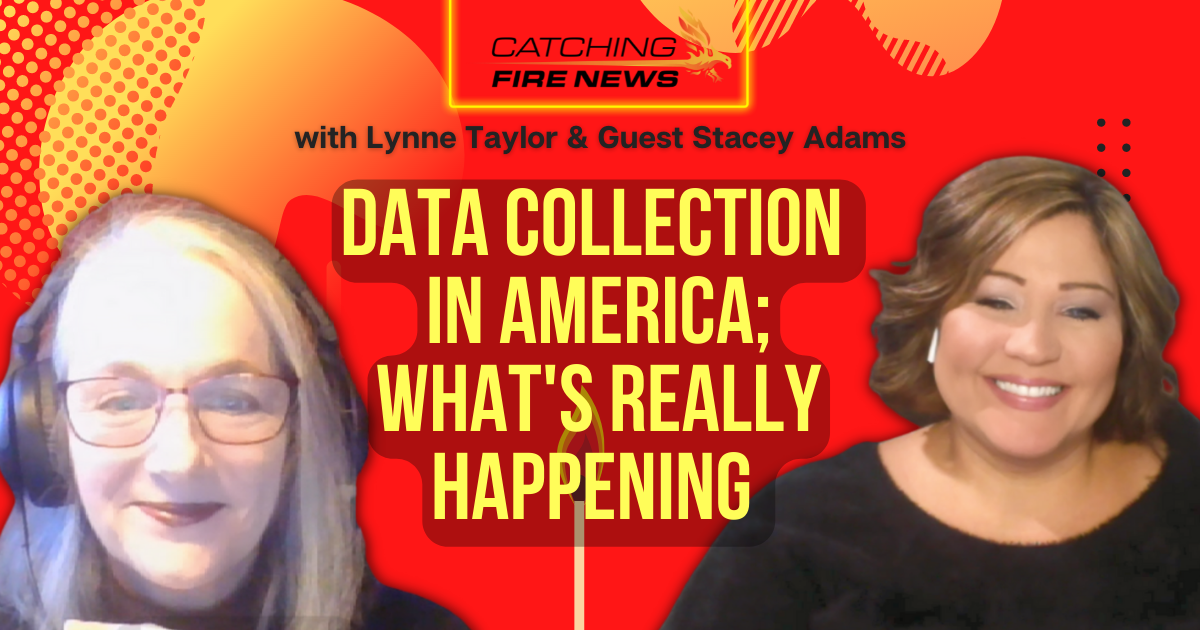 Data Collection in America; What's Really Happening